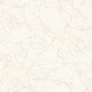 Gạch lát nền 100x100 Tasa TS 1006