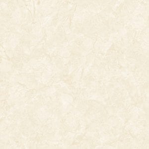 Gạch lát nền 100x100 Tasa TS 1061