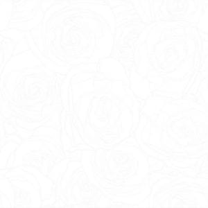 Gạch ốp tường 40x80 Hoàn Mỹ HM 19006