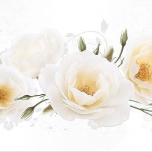 Gạch ốp tường 30x60 Hoàn Mỹ HM 2062