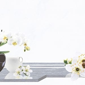 Gạch ốp tường 30x60 Hoàn Mỹ PE 2088