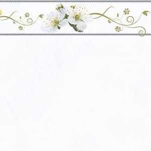 Gạch ốp tường 30x60 Hoàn Mỹ PE 2089