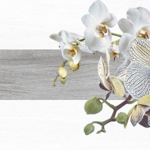 Gạch ốp tường 30×72 Hoàn Mỹ HM 23021
