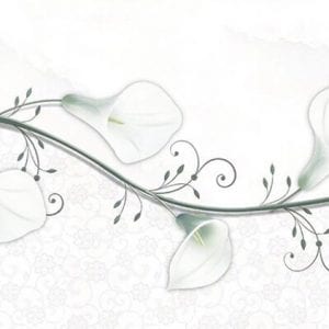 Gạch ốp tường 30x60 Tasa TS 2625