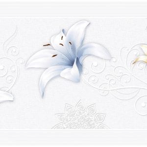 Gạch ốp tường 30x60 Thanh Long BD 2805