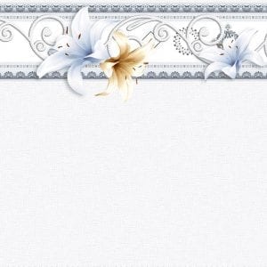 Gạch ốp tường 30x60 Thanh Long BD 2803