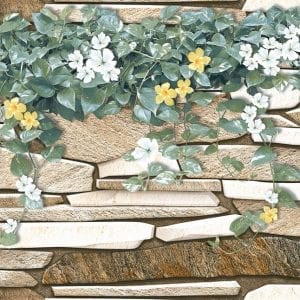 Gạch ốp tường 30x60 Thanh Long BD 2852