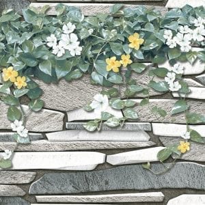 Gạch ốp tường 30x60 Thanh Long BD 2854