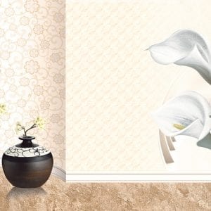 Gạch ốp tường 30×60 Thanh Long BD 3908