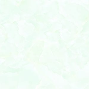 Gạch ốp tường 40×80 Tasa TS 4909
