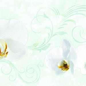 Gạch ốp tường 40×80 Tasa TS 4810
