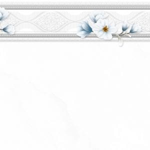 Gạch ốp tường 40x80 Tasa TS 4913