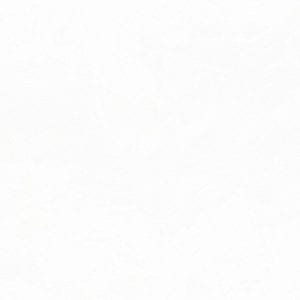 Gạch ốp tường 40x80 Tasa TS 4914