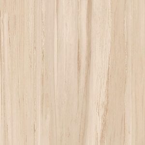 Gạch lát nền 100x100 Blue Dragon BD 55004
