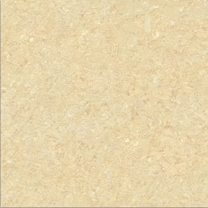 Gạch lát nền 60x60 Tasa TS 6621