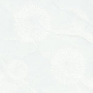 PE-6501