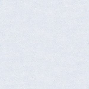 PE 6504