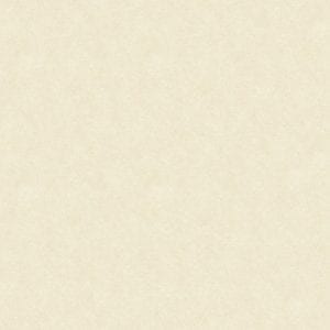 Gạch lát nền 80x80 Tasa TS 8001