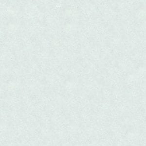 Gạch lát nền 80x80 Tasa TS 8003