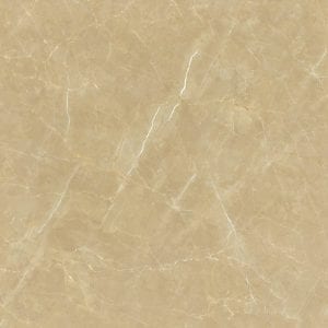 Gạch lát nền 80x80 Tasa TS 8117