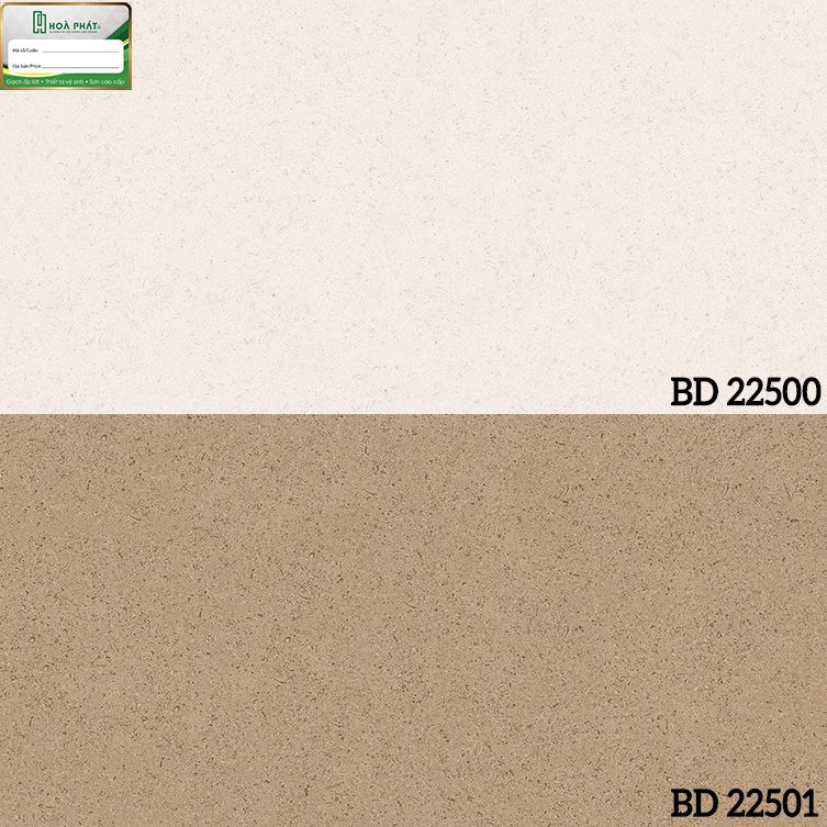 bd22500-22501.jpg