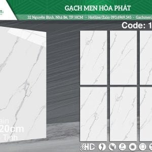 gach-kich-thuoc-60x120-ts-1207.jpg