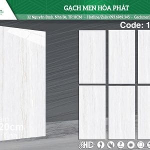 gach-kich-thuoc-60x120-ts-1208.jpg