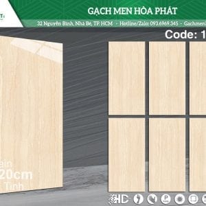 gach-kho-lon-60x120-tasa-1212.jpg