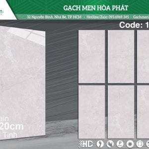 gach-kich-thuoc-60x120-ts-1213.jpg
