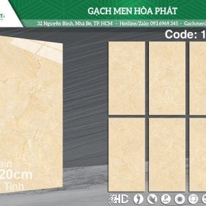 gach-kich-thuoc-60x120-TS-1206.jpg