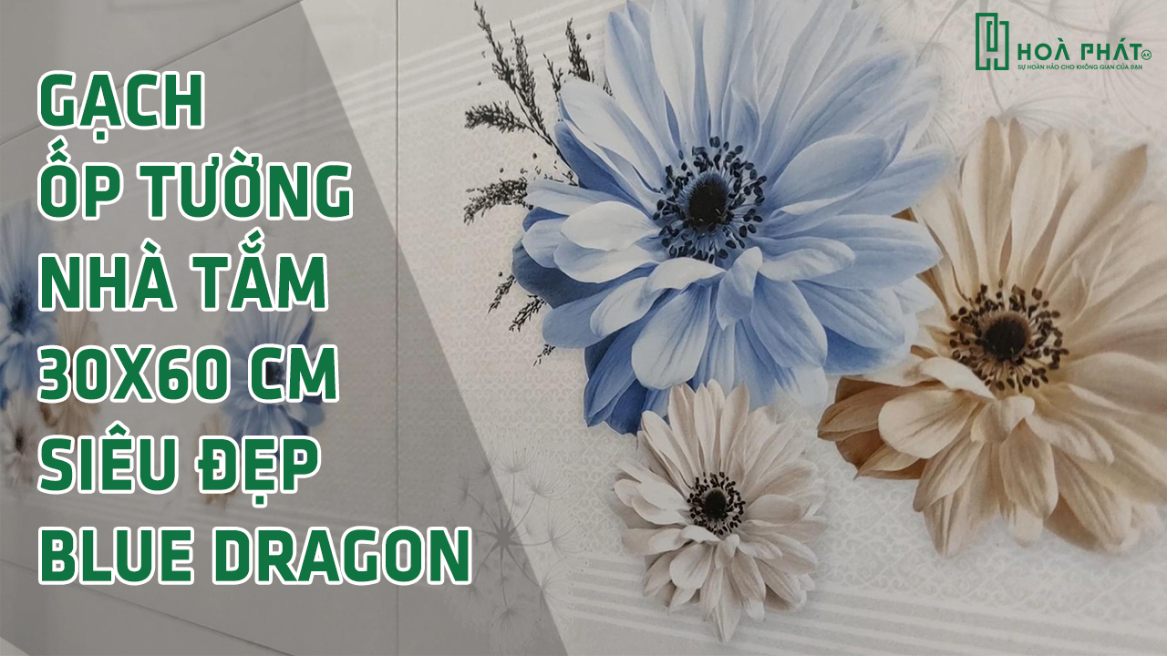 gach-op-tuong-sieu-dep-blue-dragon.jpg