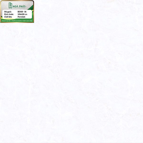 gach-lat-nen-bd100-06.jpg