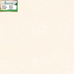 gach-lat-nen-bd-6233.jpg