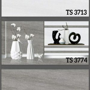 TASA-3713-3714-3774.jpg