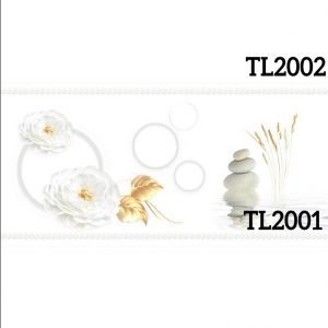 TL2000-2001-2002.jpg