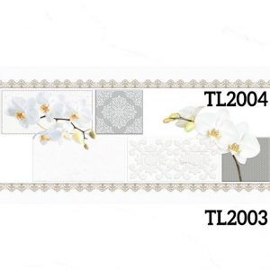TL2003-2004-2005.jpg