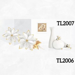 TL2006-2007-2008.jpg