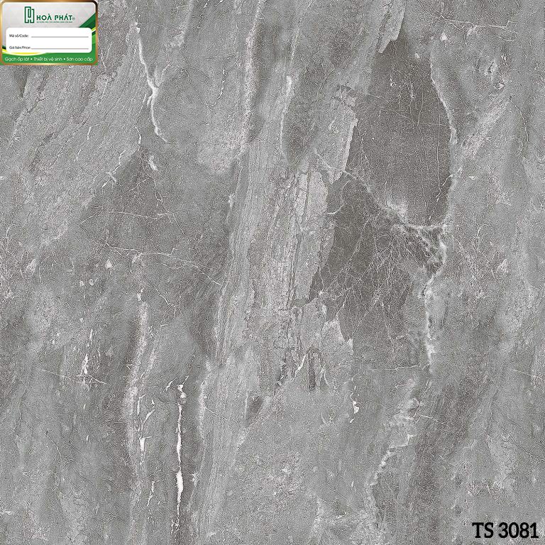 tasa-3081.jpg