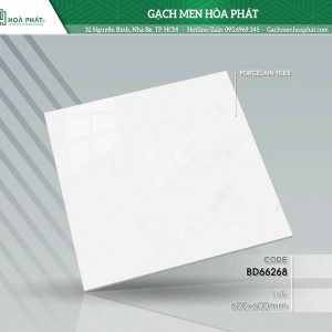 gach-lat-nen-BD-66268.jpg