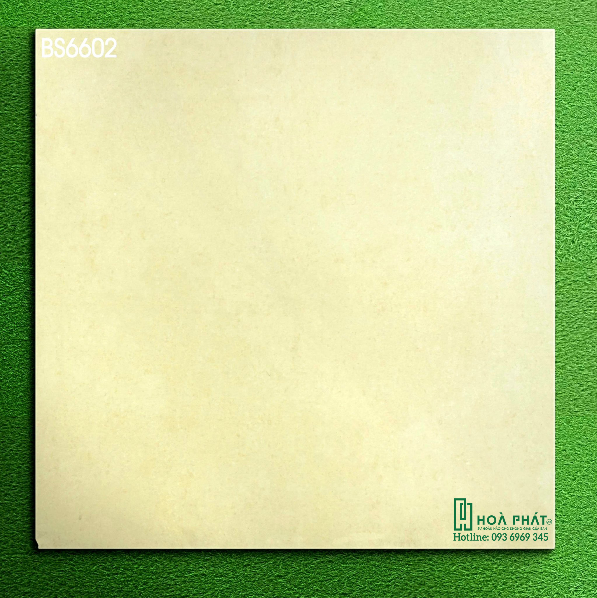 gach-lat-nen-Viglacera-BS6602.jpg