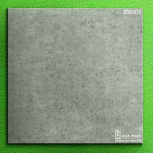 gach-lat-nen-Viglacera-BS6603.jpg