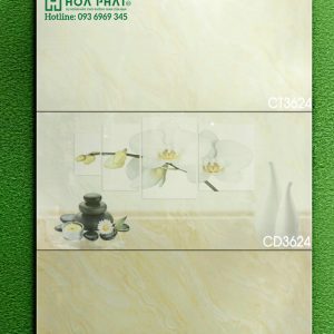 gach-op-tuong-CT3624-CD3624-CT3625.jpg