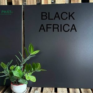 Gạch lát nền 60x60 đen mờ Black Africa