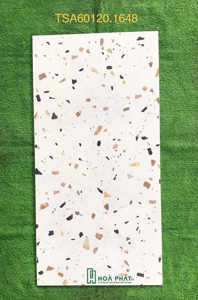 Gạch lát nền 60×120 1648 terrazzo đá bóng - Ảnh 2
